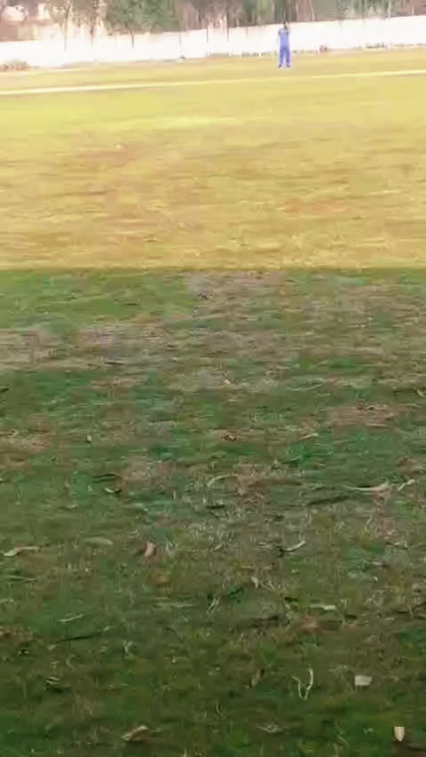 @03130519250