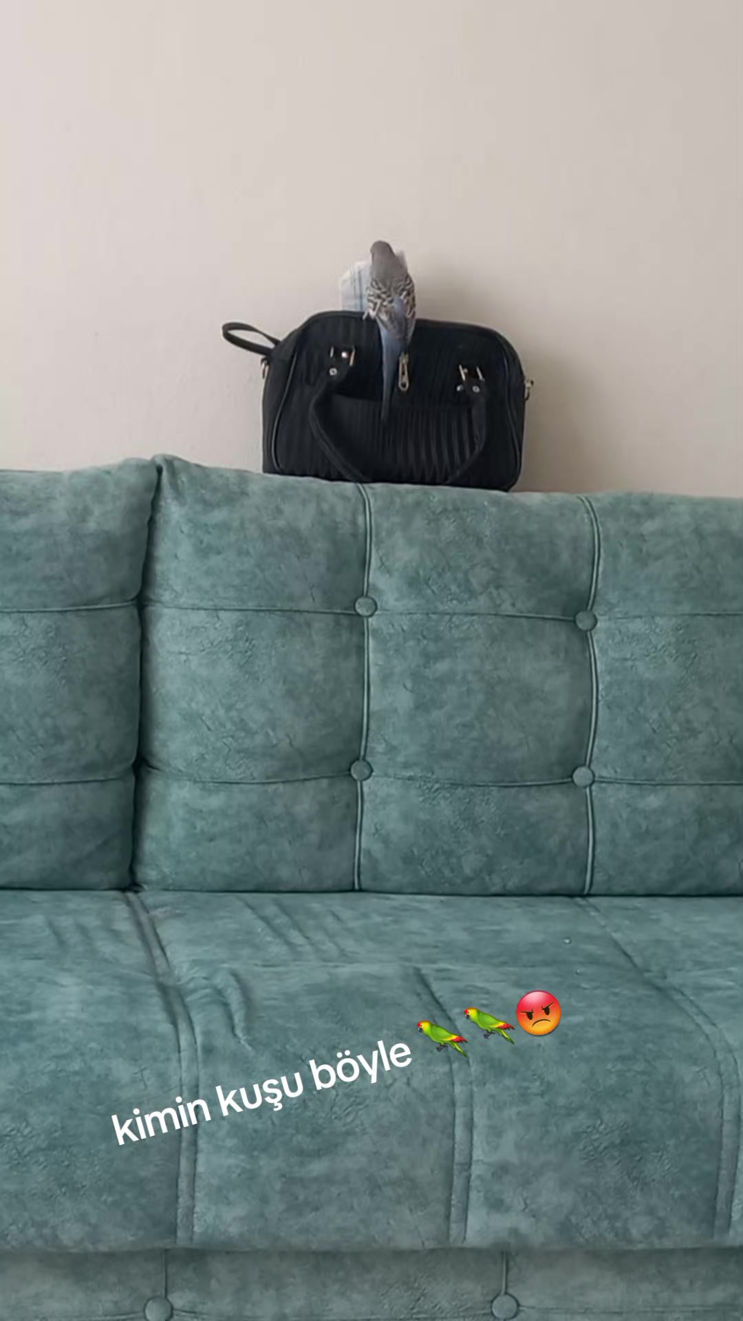 @Serpil Karaman