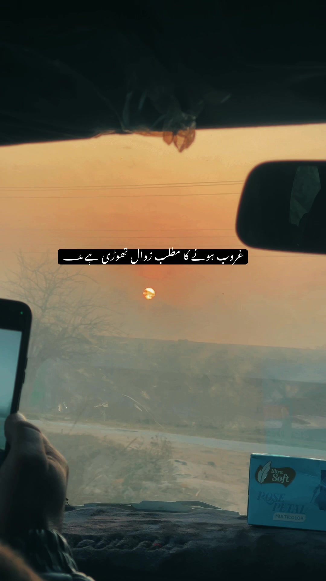 @🕊️