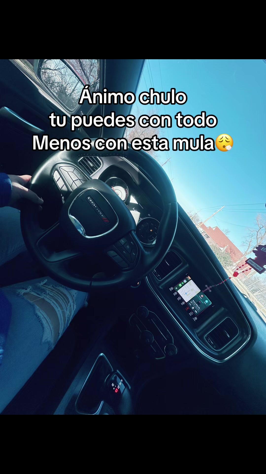 @GuadalupeLN