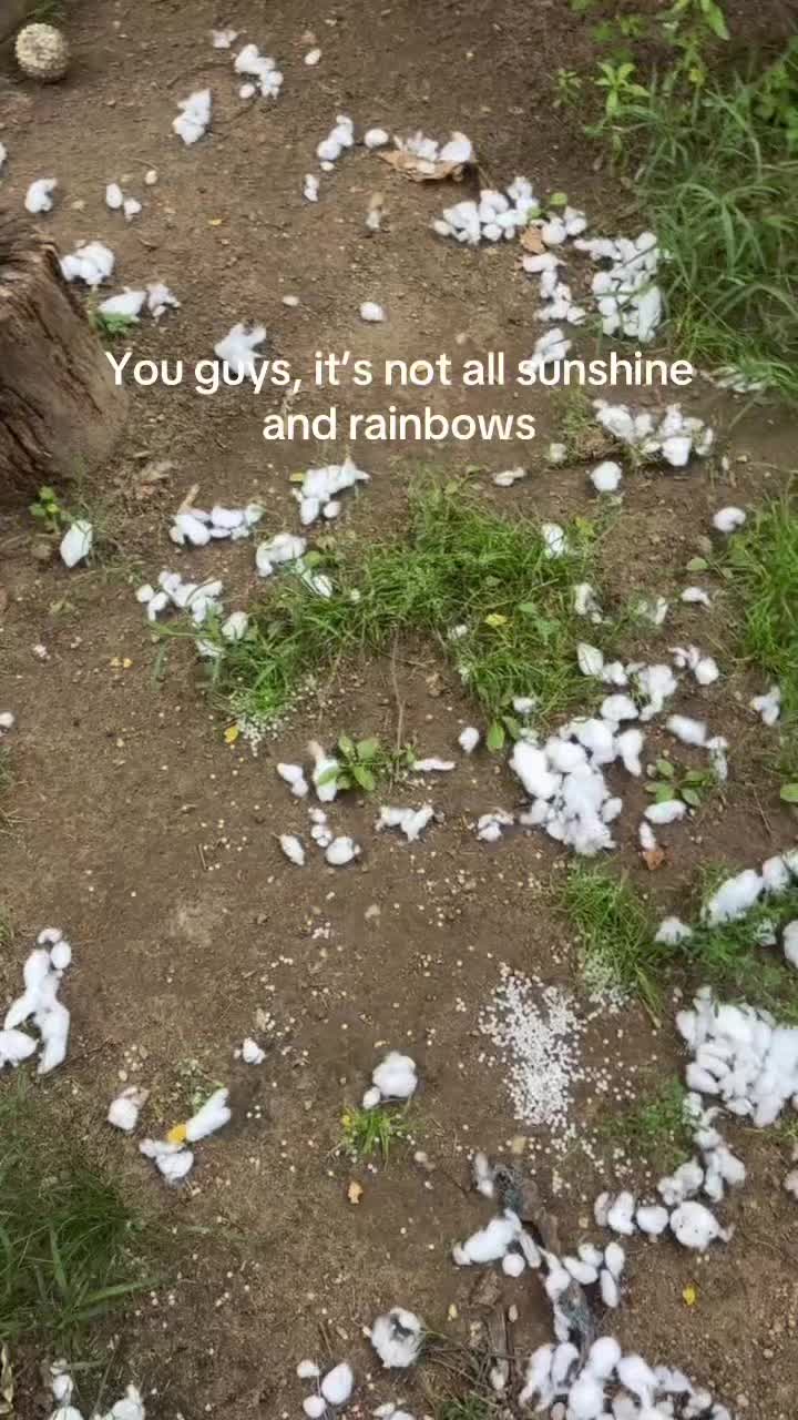 @HowellNatureCenter