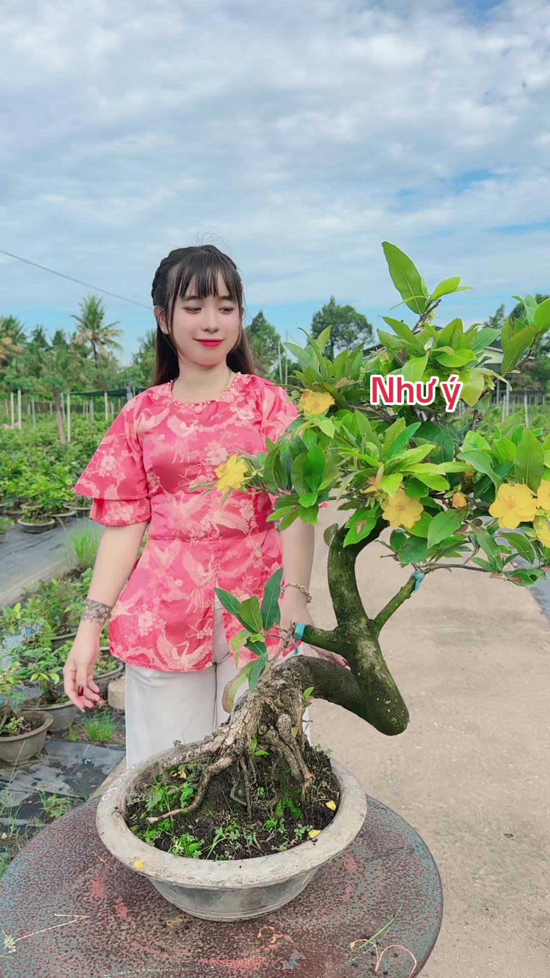 @Chichchoebong79