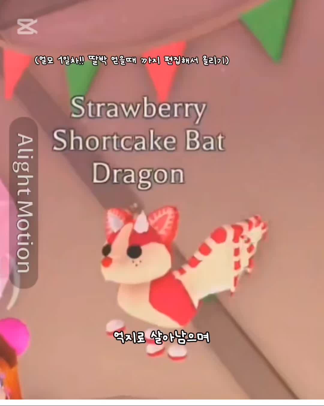 @•지디 와이프 쪼기🗝🐉