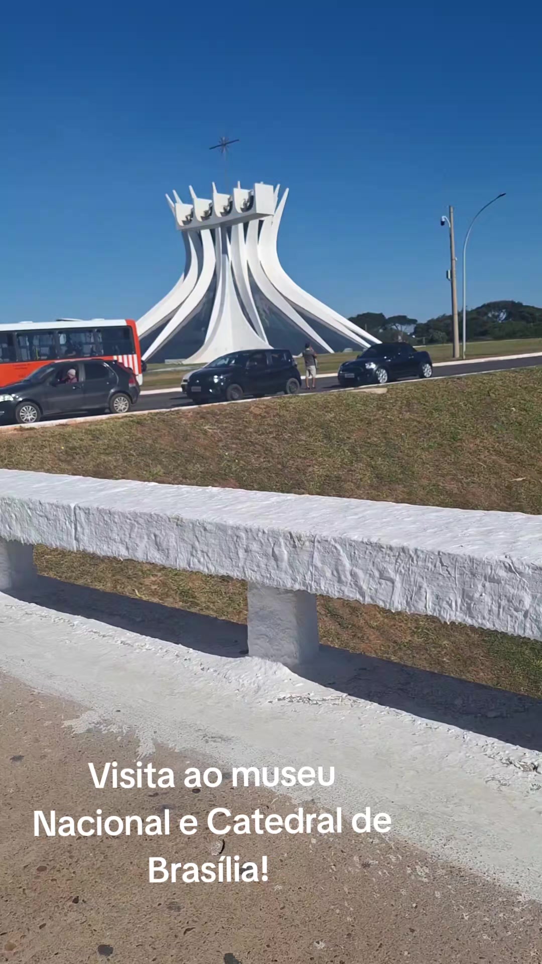 @prof selminha em reabilitação