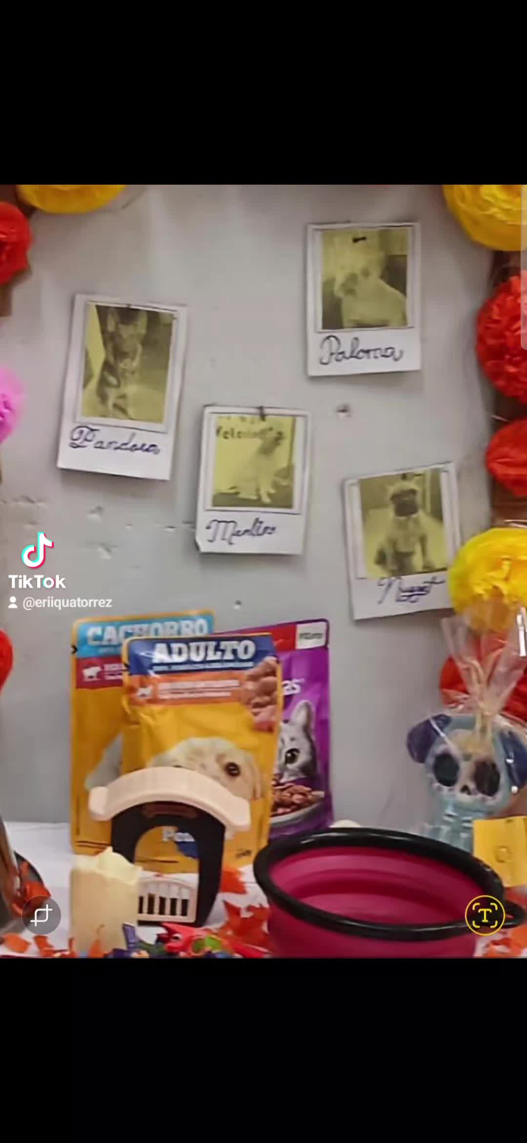 @erika