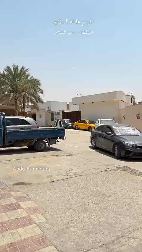 @sayh alwany