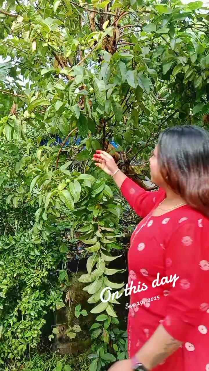 @🇨🇾Ⓜ️𝐸𝐸®️𝑈🦋🇳🇵🇪🇺🌏