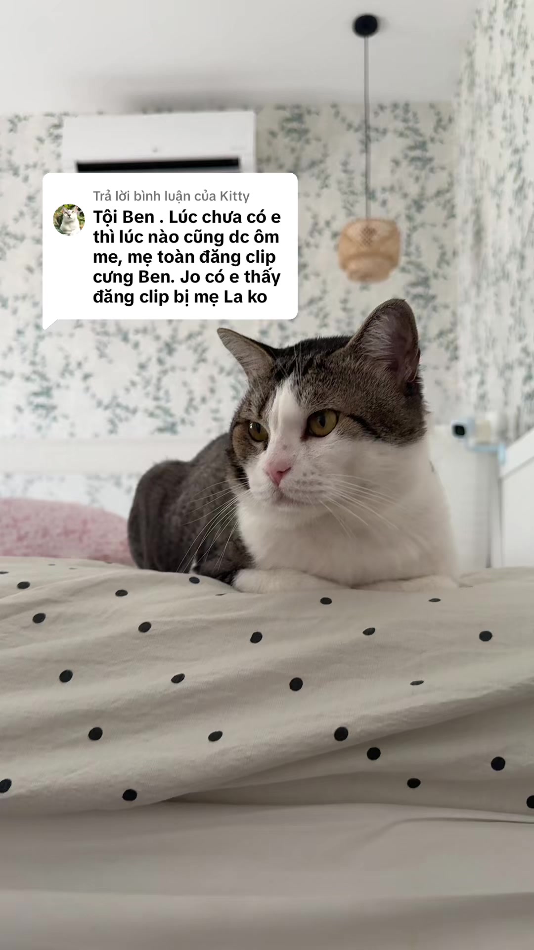 @Đang dọn nh&agrave;