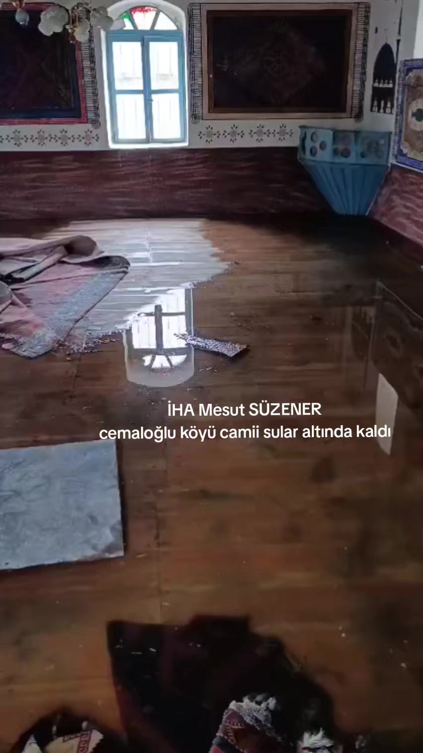 @mesut s&uuml;zener