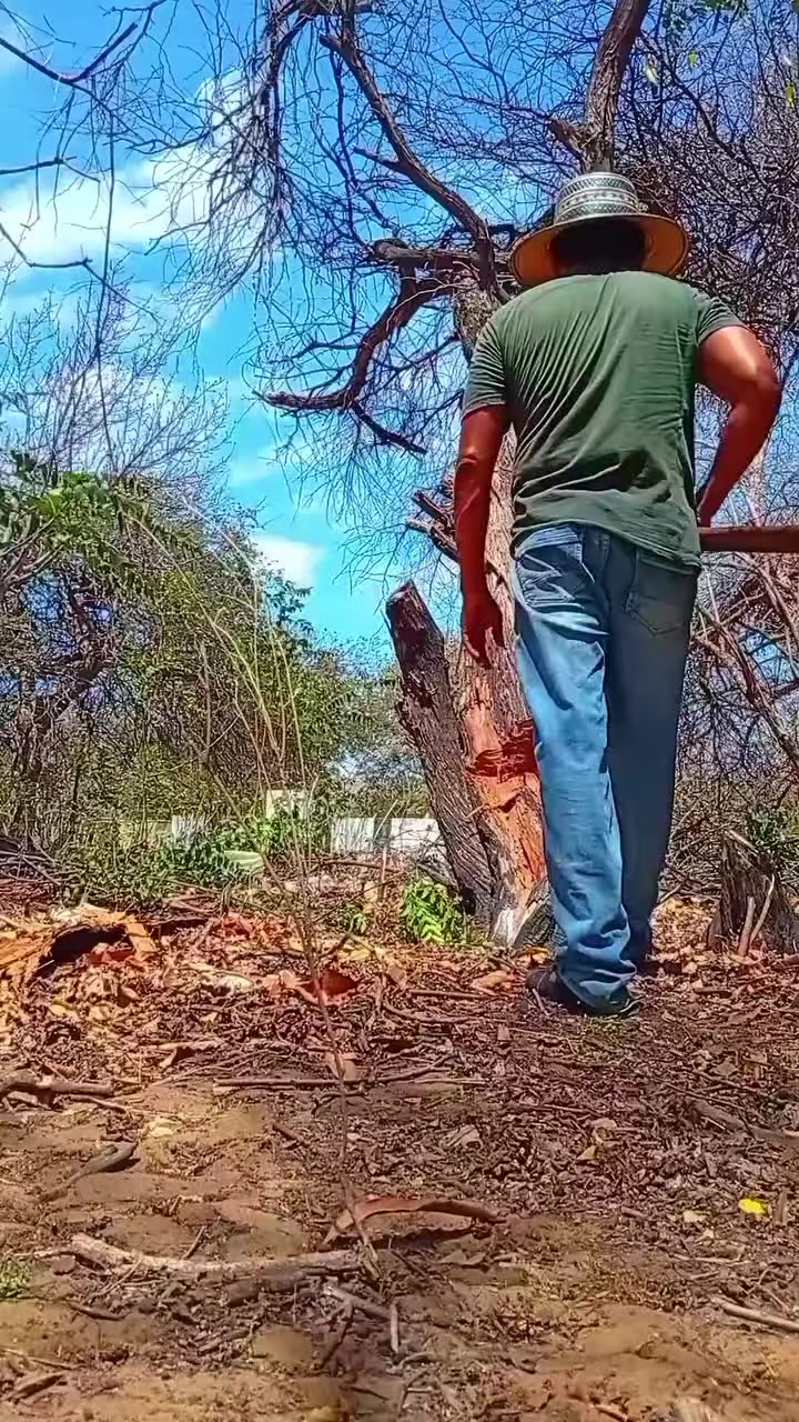 @Leonel L&oacute;pez