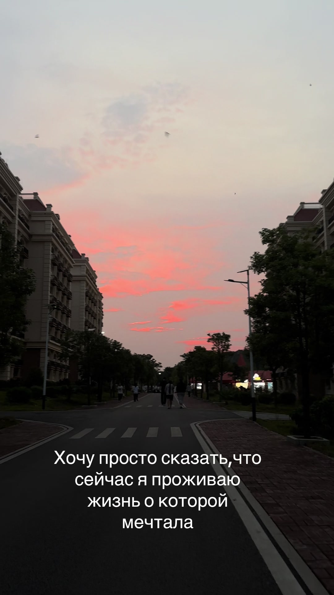 @Сæша