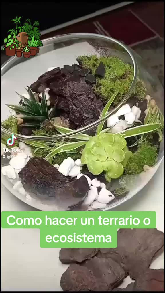 @Lunna 🌺