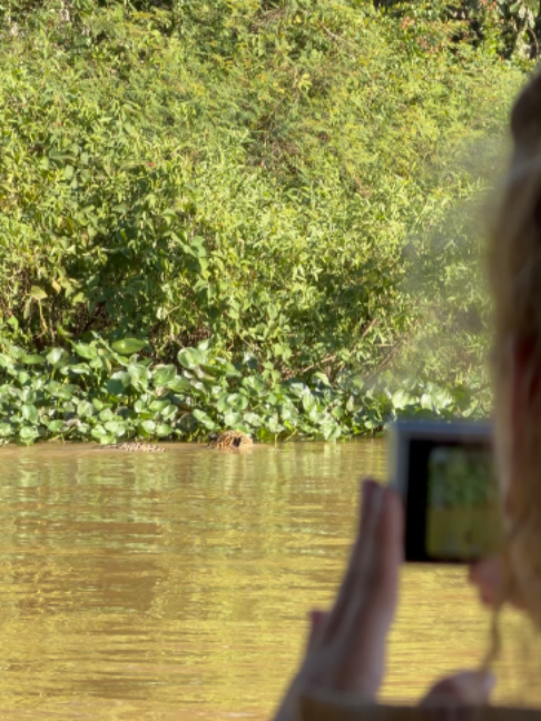 @Pantanal Brazil Safaris