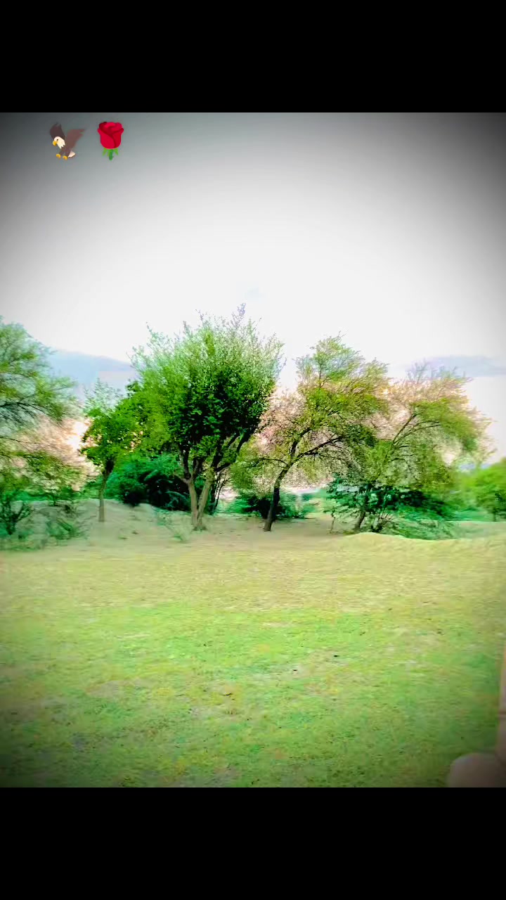@🥀KARAK--BALAKTA🥀