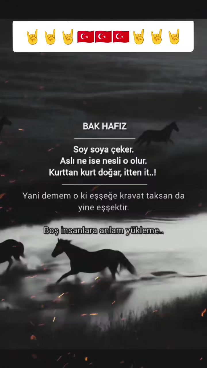 @YUNUS GÜNDÜZ KAAN