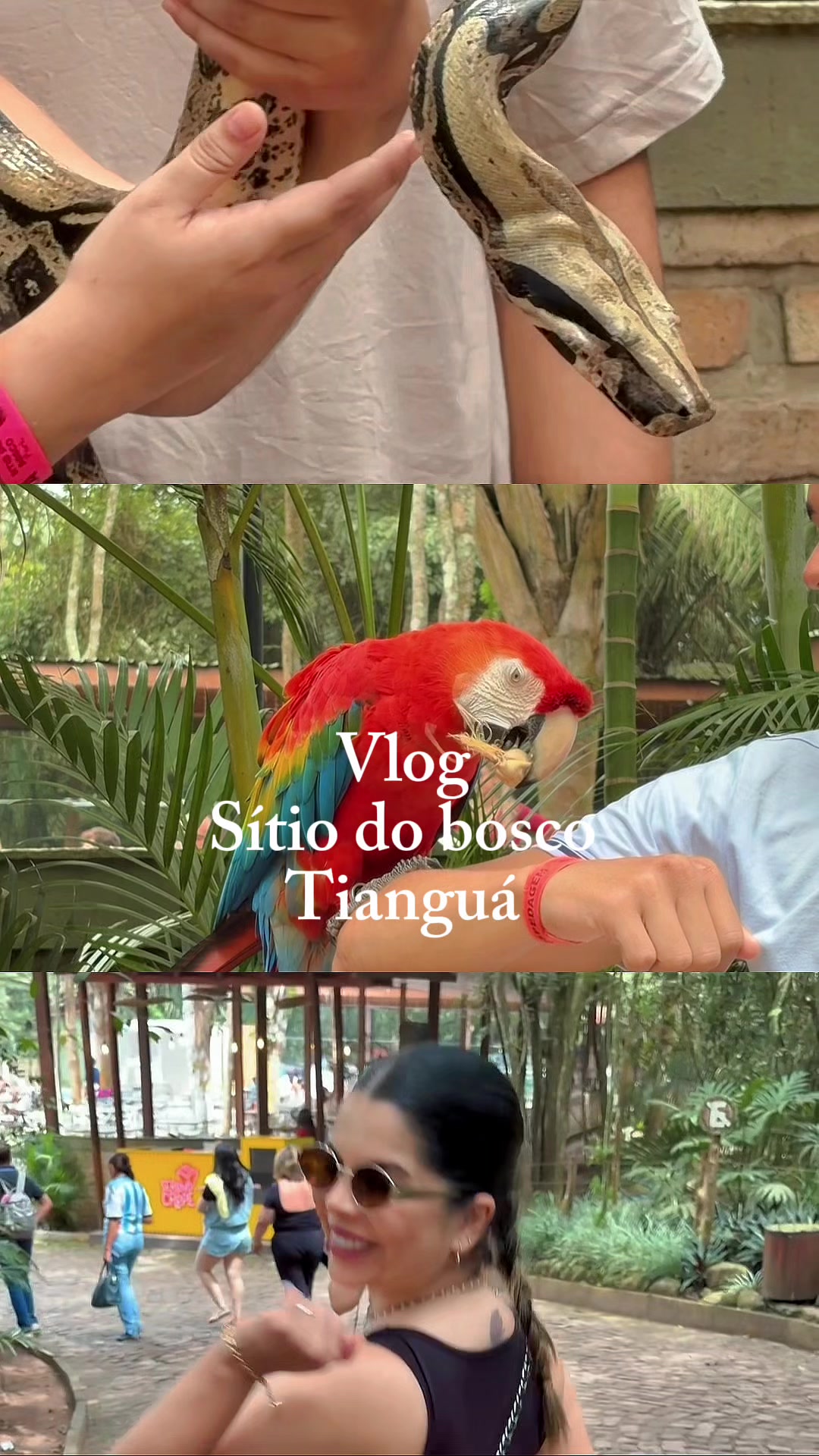 @Luane Lima