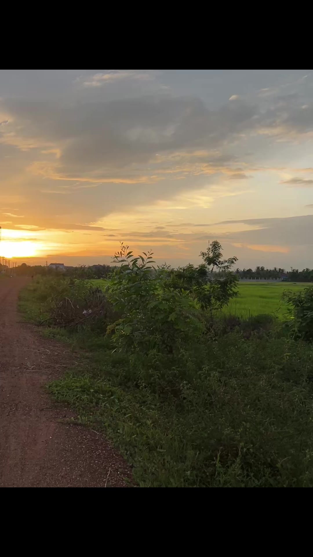 @ព្រះនាង សួយ៚ 🇰🇭
