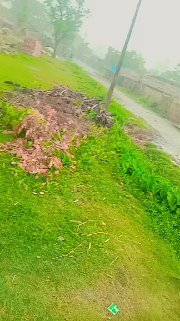 @Balkishun Yadav