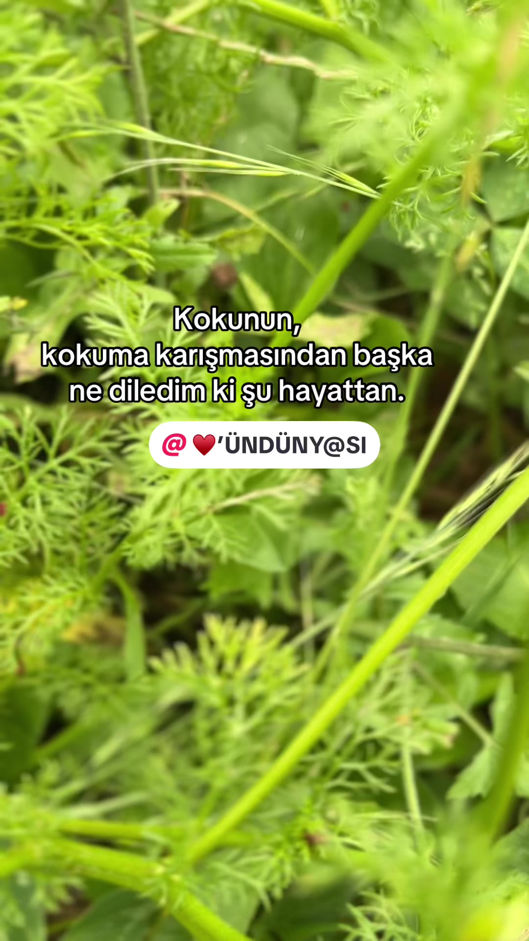 @♥️’ ÜN DÜNY@SI