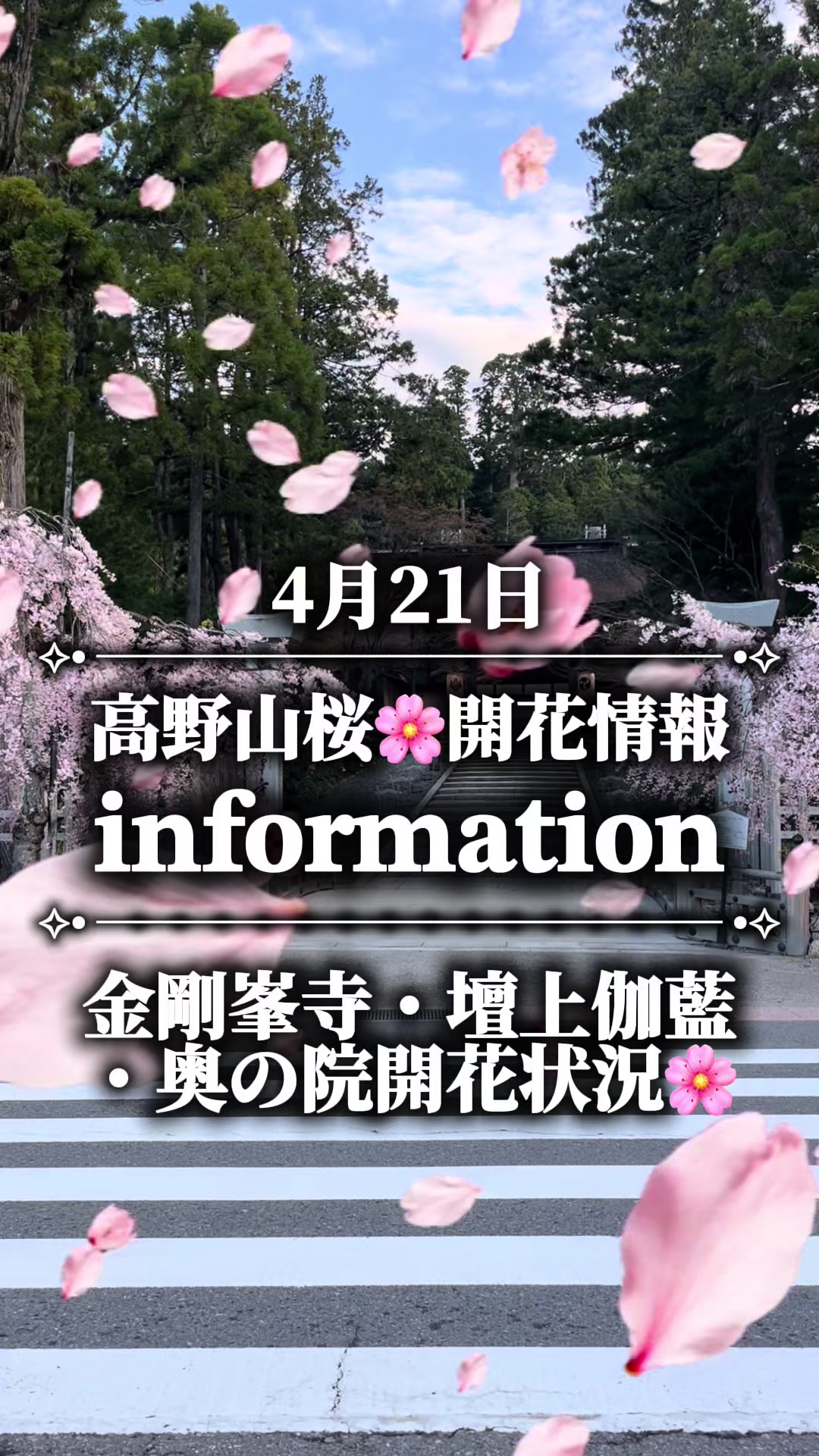 @Kōyaの秀ジィ🦊🐾