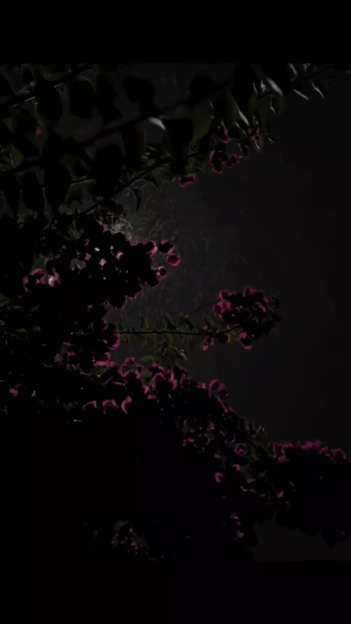@.... 𝓜