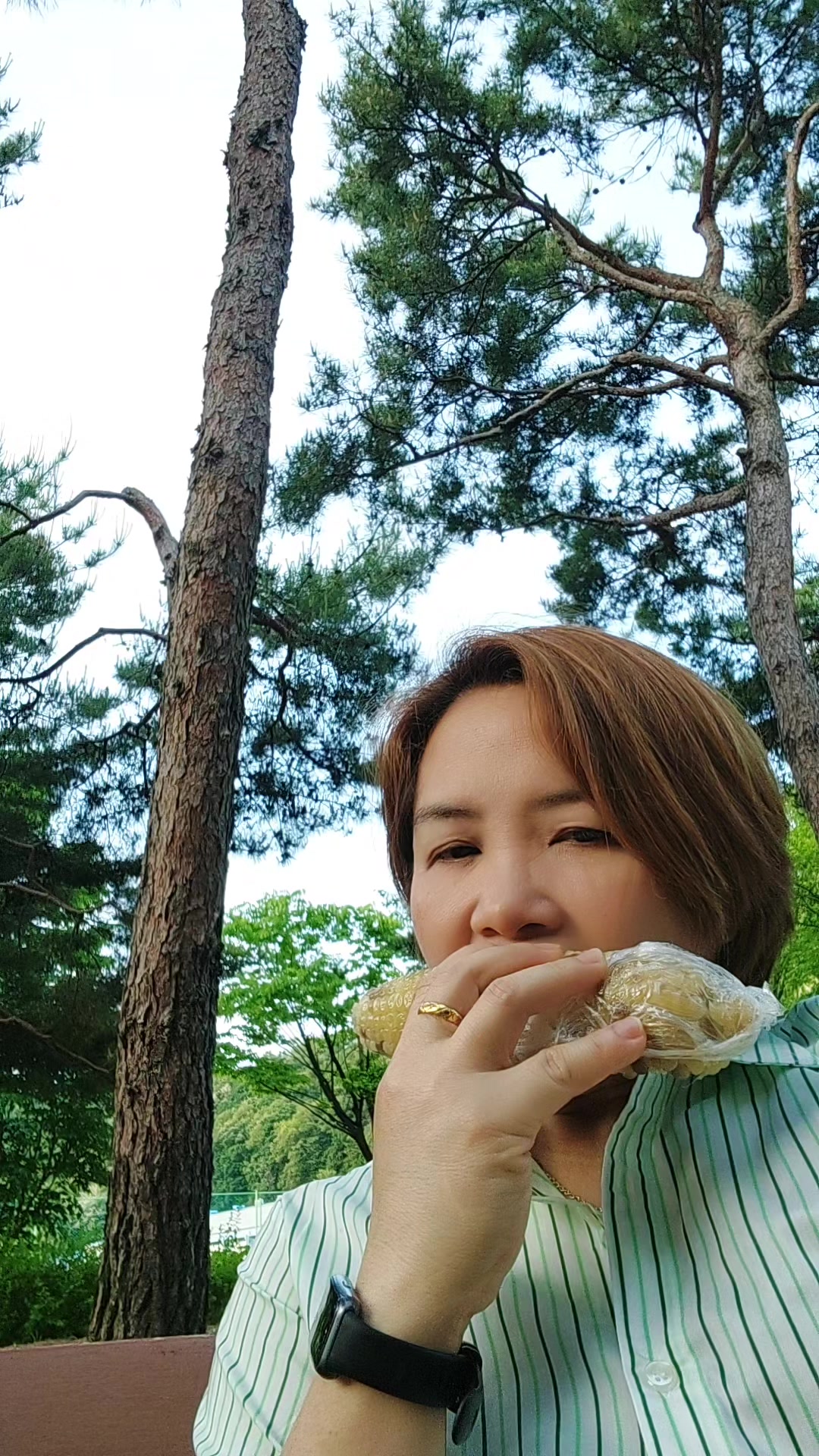 @란