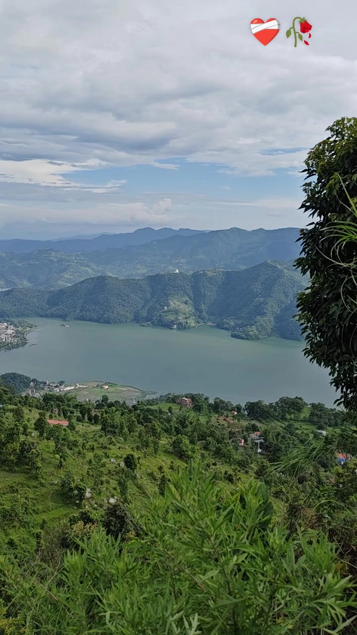 @Danias🇳🇵🥀🇳🇵