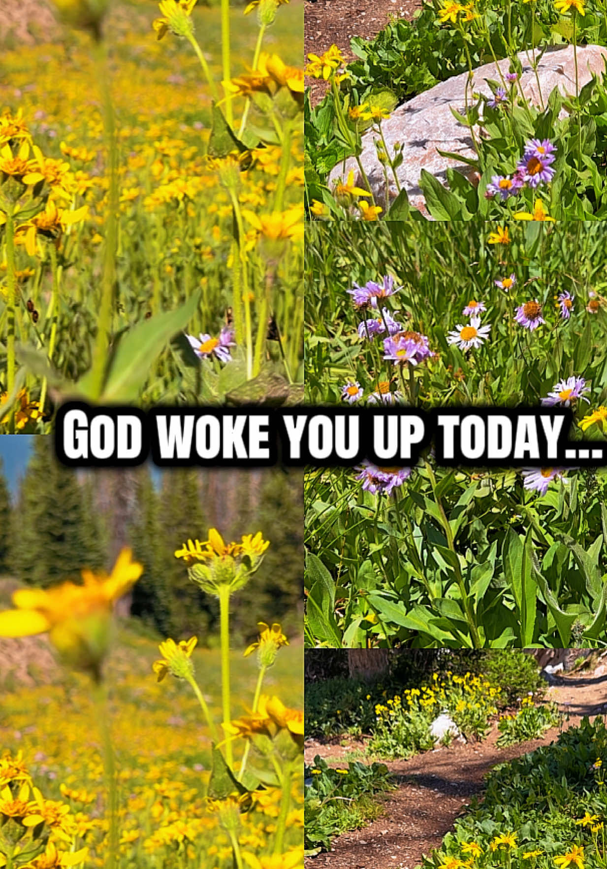 @MorningFaithFuel