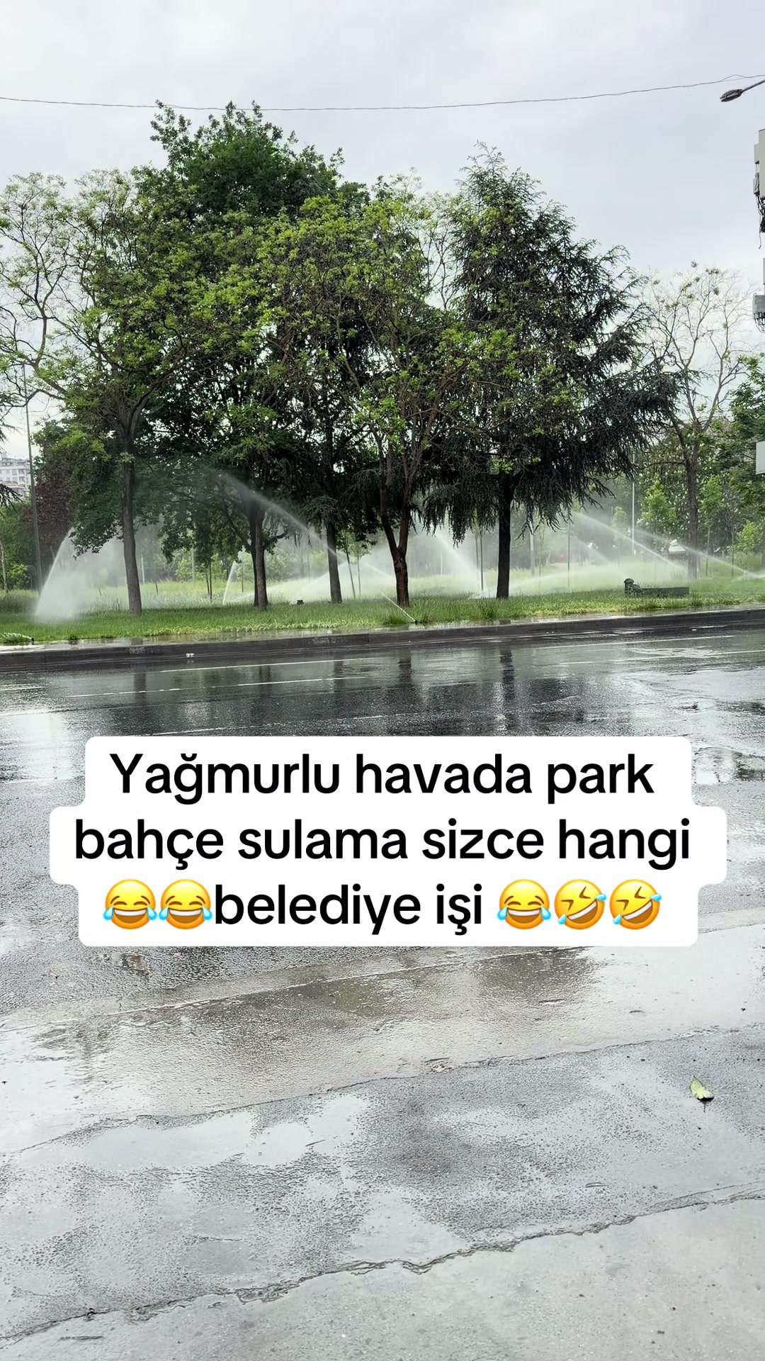 @58Tülay34