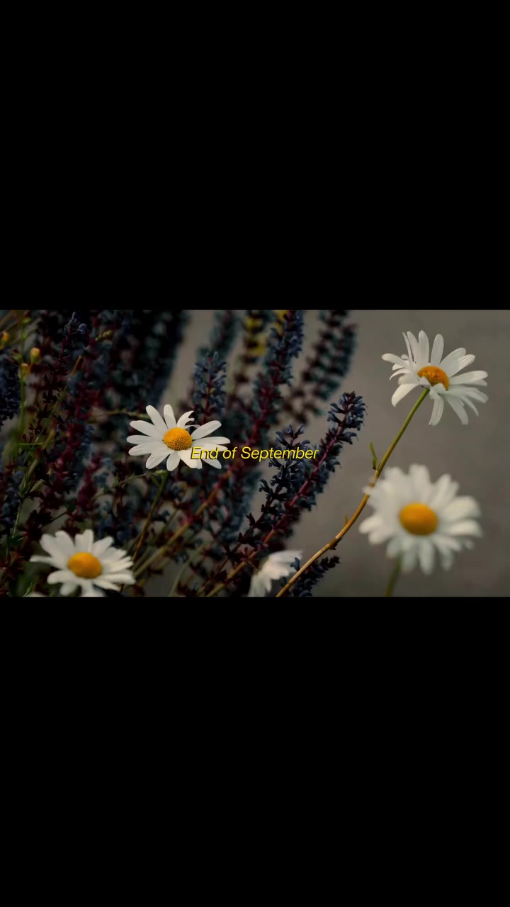 @아즈하르 𓆩♡𓆪