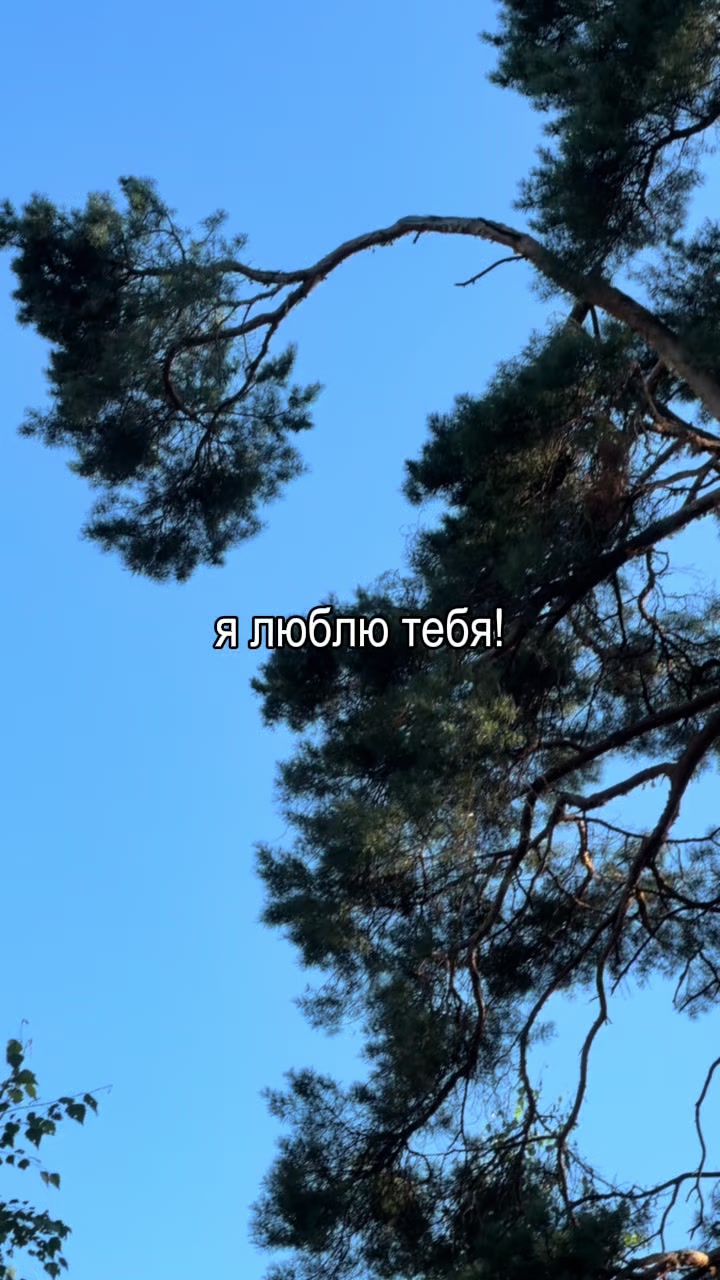 @𝐥𝐢𝐩𝐬𝐢𝐧𝐠 𝐦𝐮𝐬𝐢𝐜