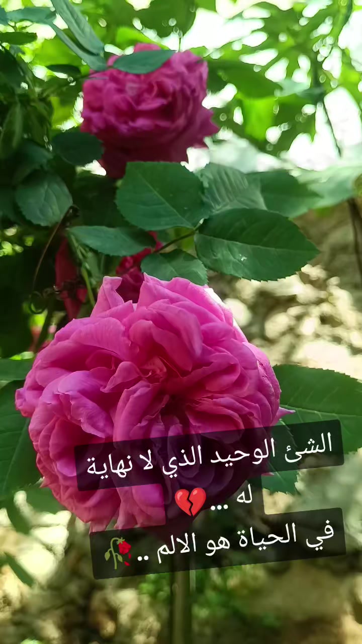@Silde Ismail