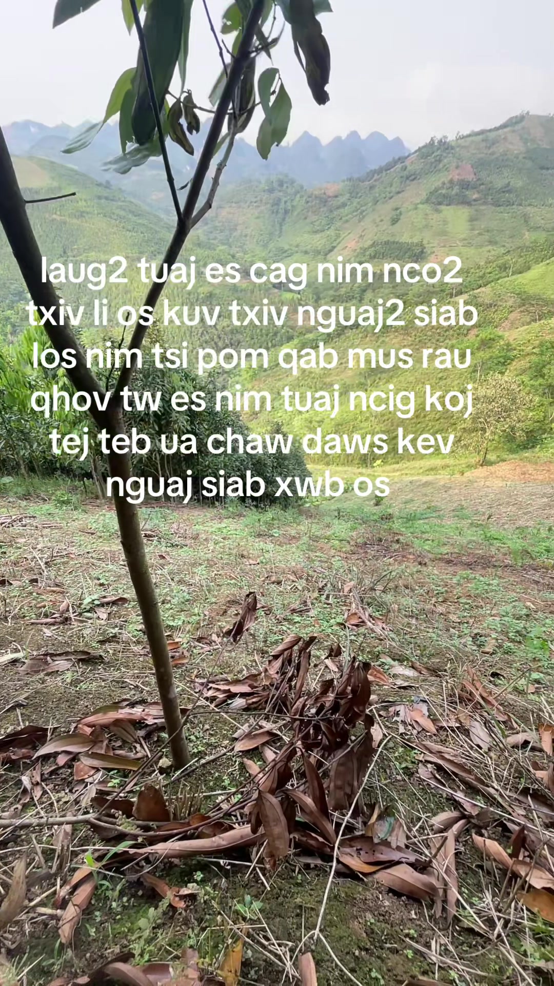 @chị pằng🫠