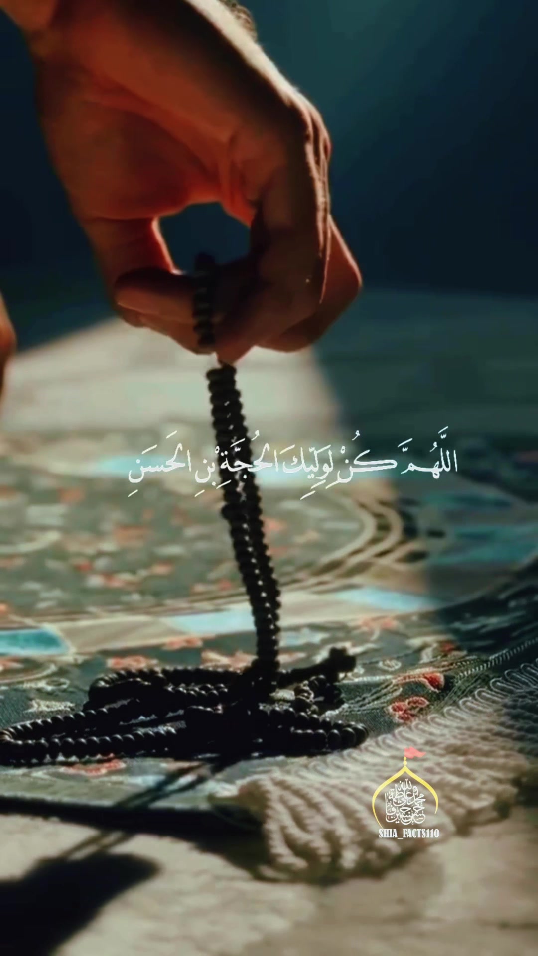 @Shia Facts ۱۱۰ 💫