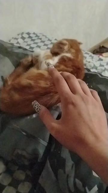 @Орёл на связи