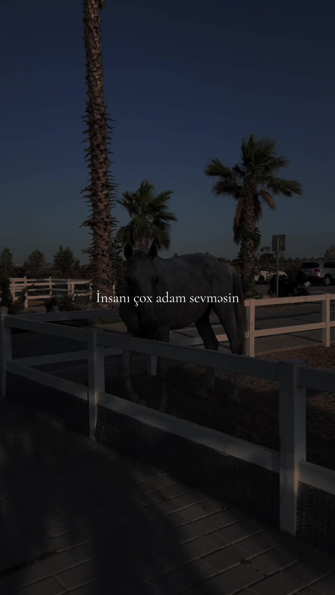 @kova_kadını_fafa