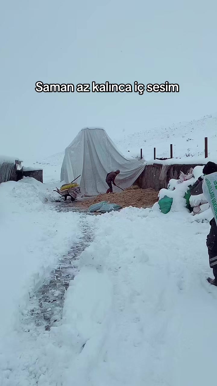 @yusuf yıldırım 04