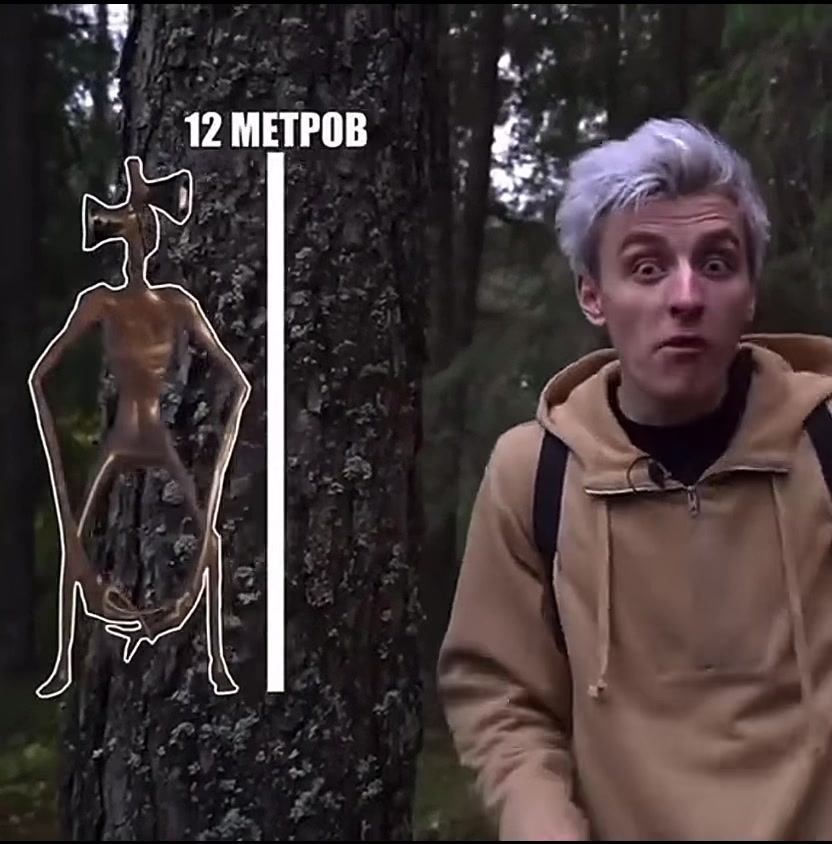 @Мёртвые крылья