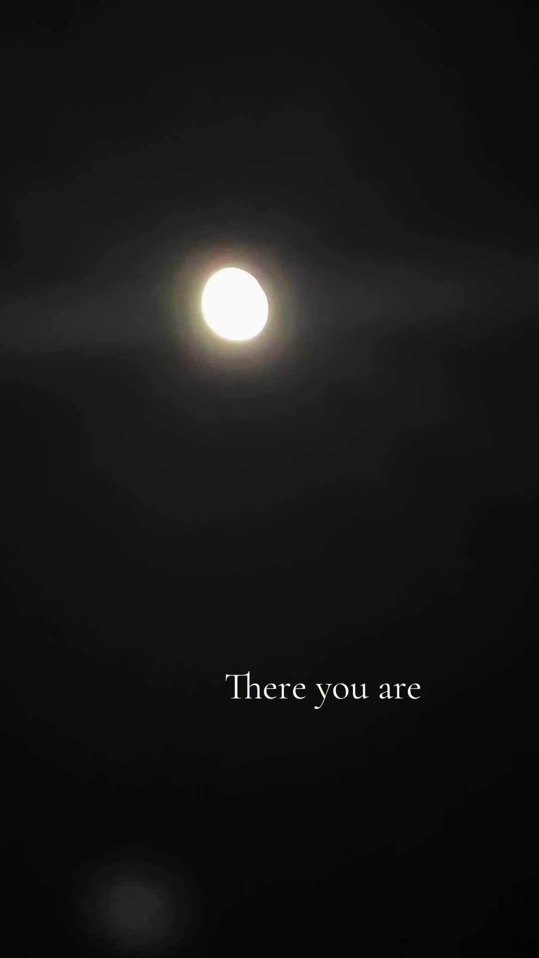 @𝙻𝚊𝚞𝚛𝚊 • 𝙹𝚘𝚢𝚌𝚎
