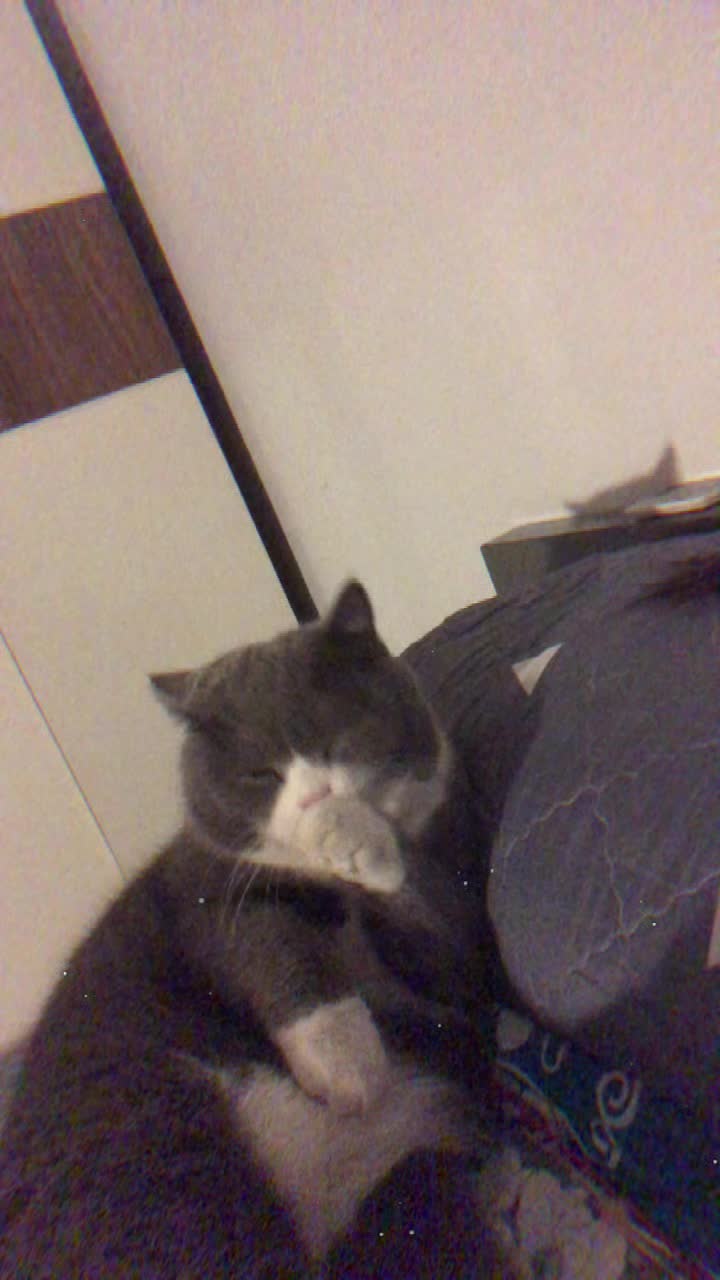 @Bi b&eacute;ooo ❤️
