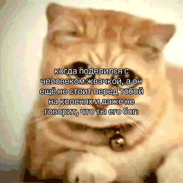 @Леська 🚩🪜