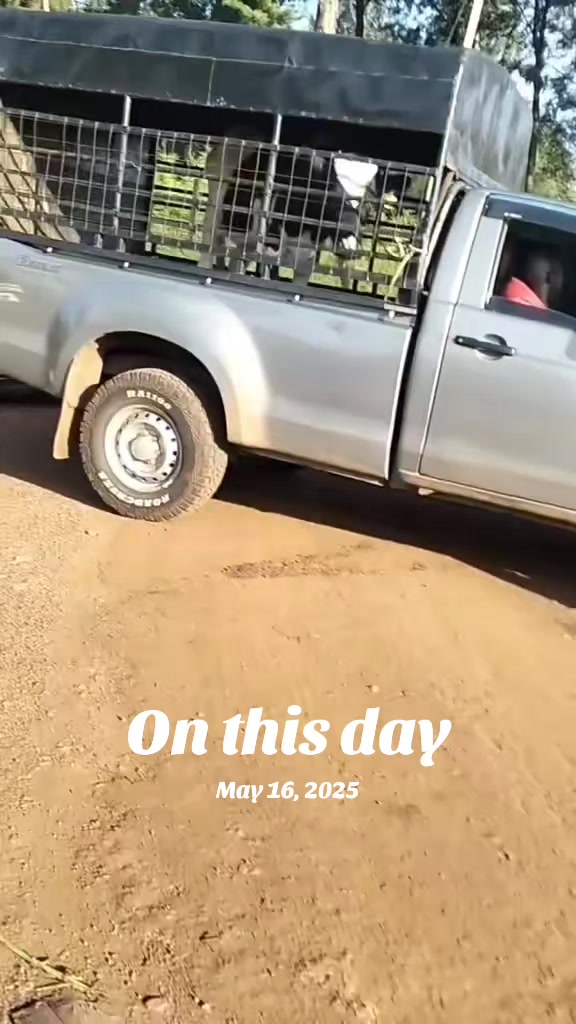 @SEGO DAIRIES 🇰🇪🇰🇪 ❣️