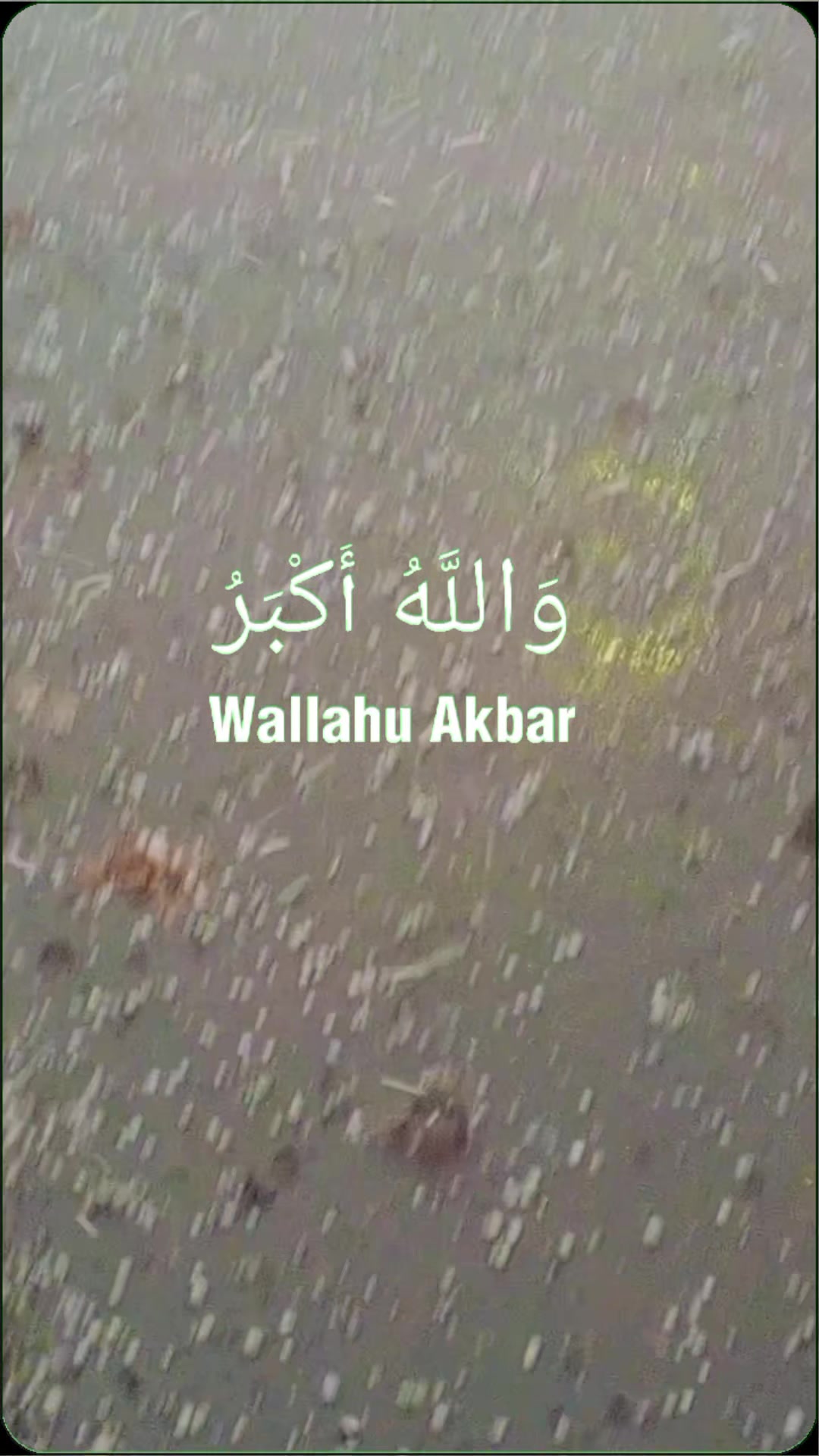 @Mudassar Ayoub