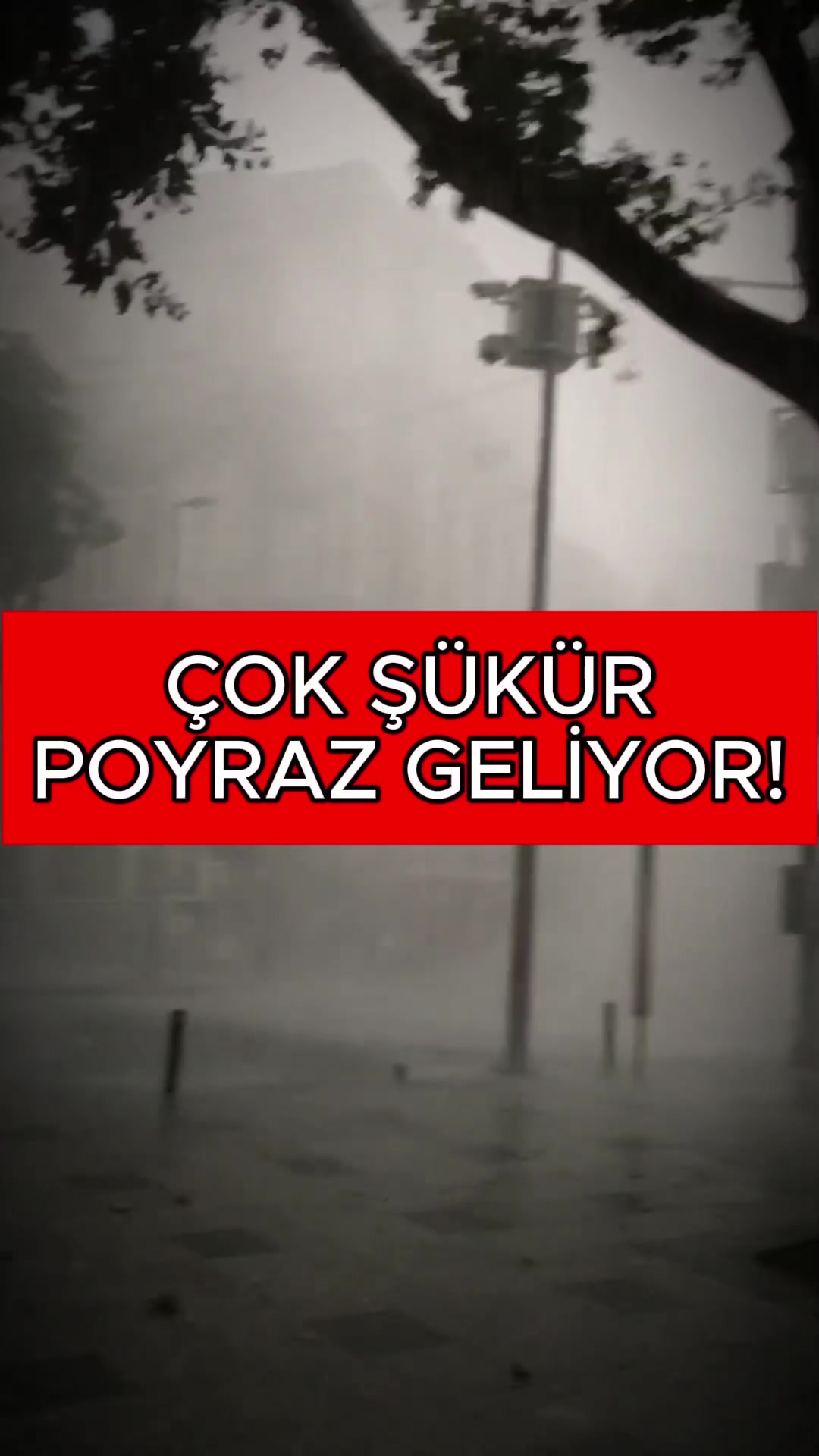 @Havadar