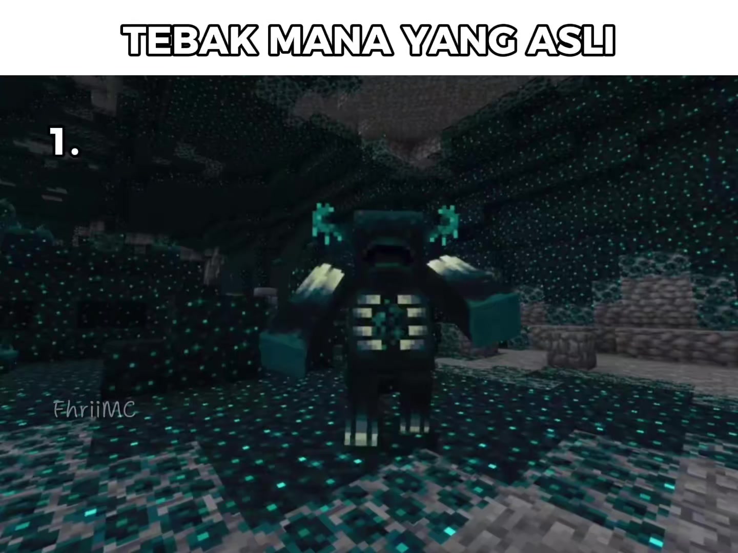 @FhriiMC