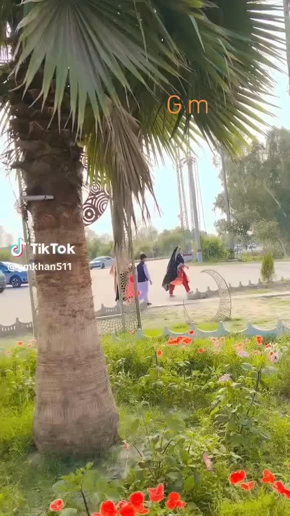 @منور سمبلی ہڈالی
