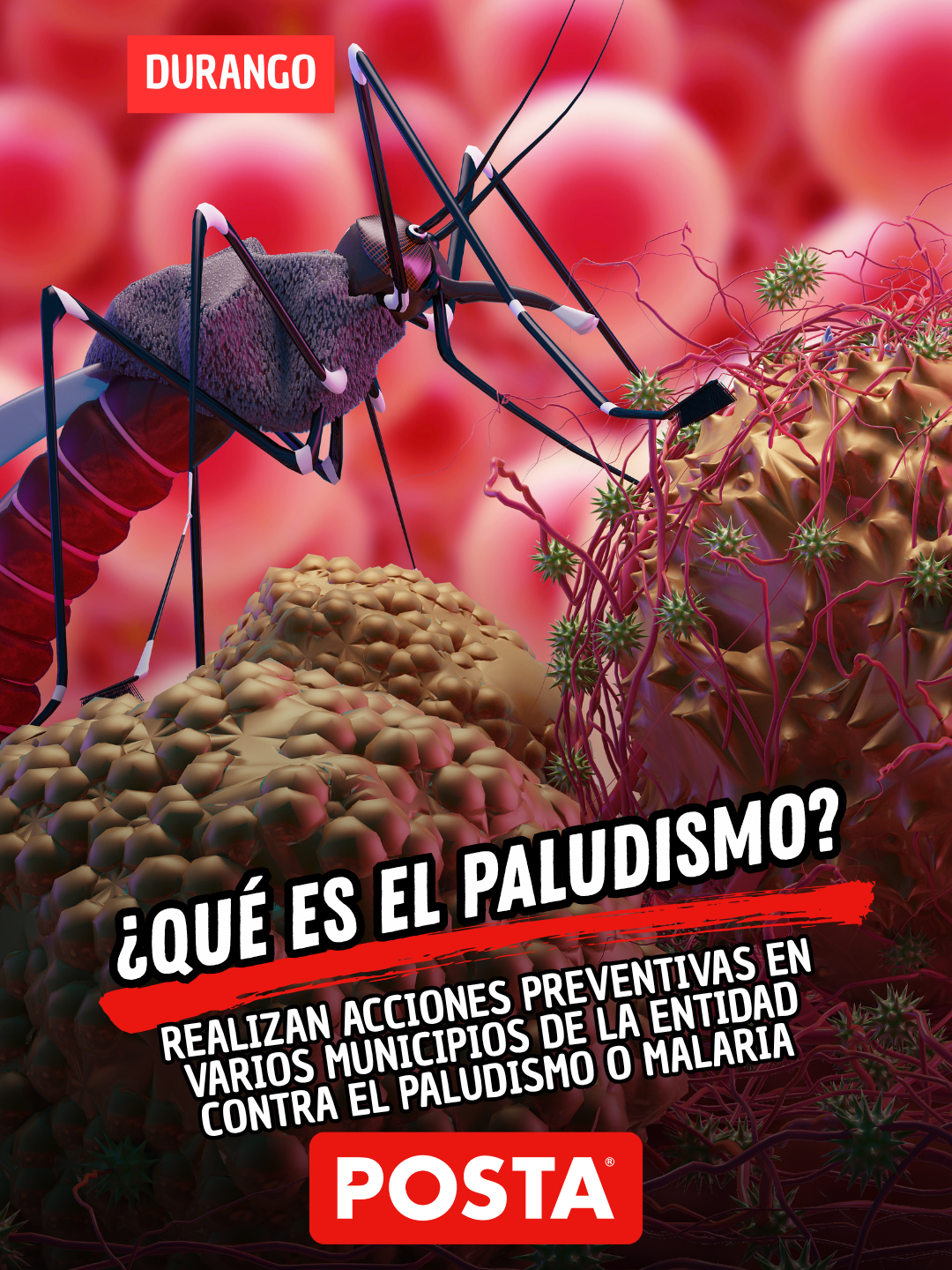 @POSTA Durango