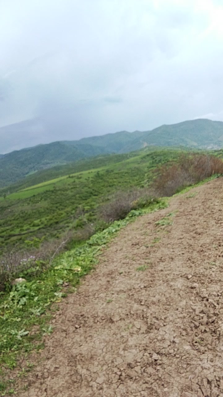 @Emin Kərimov