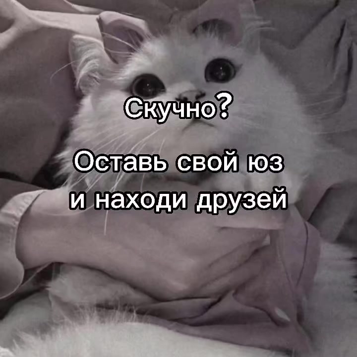 @mivrac