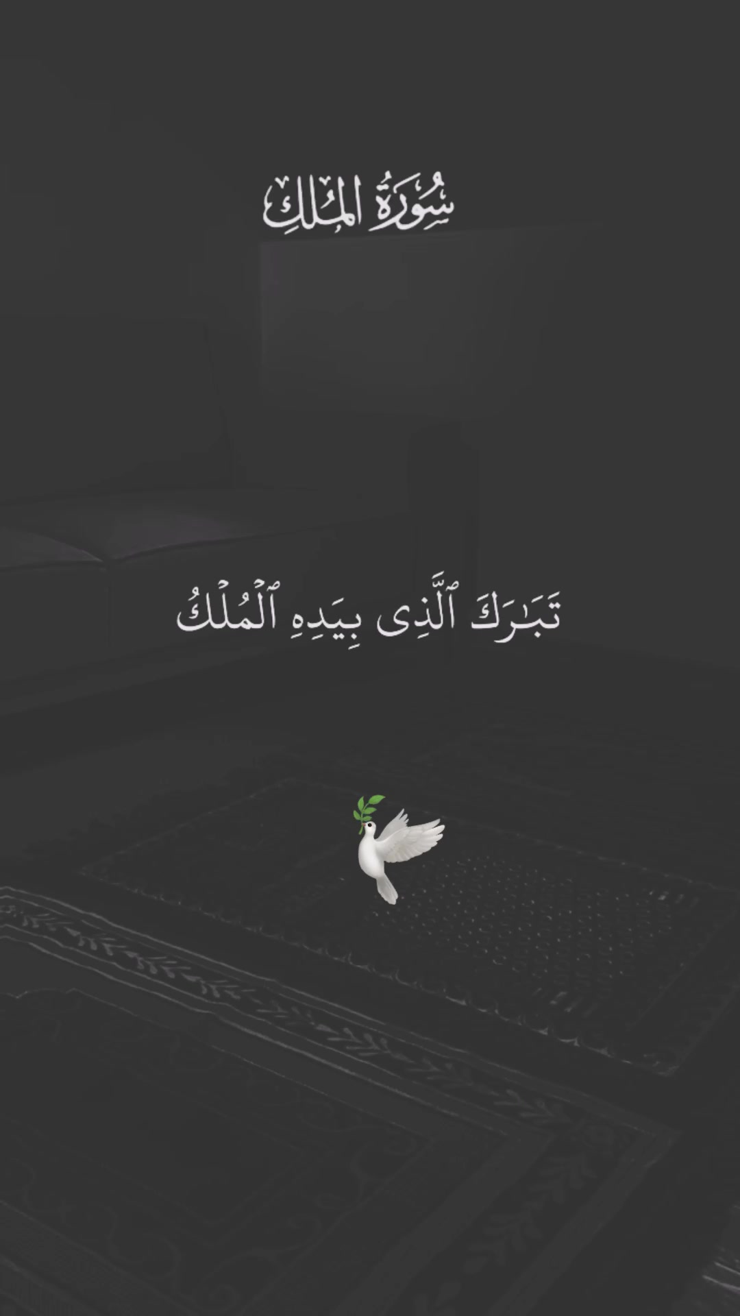 @القرآن الكريم 🕊🎧